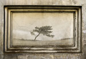 Building, wall, mural, framework, house, facade, weathered, old, in need of renovation, run down, cracks, image, wall, mural, tree, solitary tree, alone, detached, Building, wall, mural, framework, house, facade, weathered, old, in need of renovation, run down, cracks, image, wall, mural, tree, solitary tree, alone, detached,
